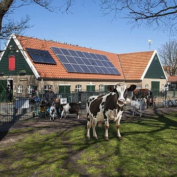 Koeien op een boerderij Koeien op een boerderij